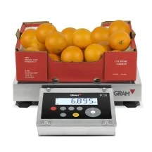 bascula-industrial-inoxidable-gram-k3i-x