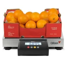 Báscula industrial GRAM Z3T