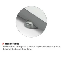 Balanza de laboratorio Gram RS de 0,001 g a 0,01 g