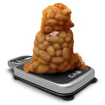 balanza-multifuncion-certificada-cas-pb-de-15-a-200-kg