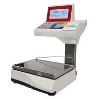 balanza-comercial-con-impresora-epelsa-jupiter-20-v10
