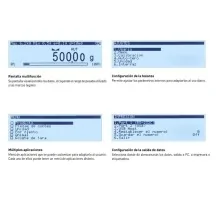 balanza-de-laboratorio-certificada-gram-rvi