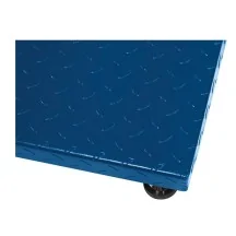 bascula-de-suelo-certificada-gram-k2-tortuga