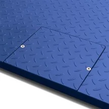 bascula-suelo-gram-accurex-txm-tortuga-de-600-kg-a-1500-kg