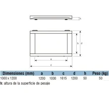 bascula-industrial-suelo-baxtram-bvt-de-600-kg